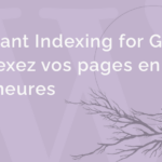 instant indexing for Google - indexez vos pages Wordpress en 24 heures
