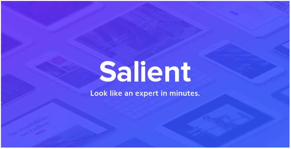 Salient template wordpress themeforest